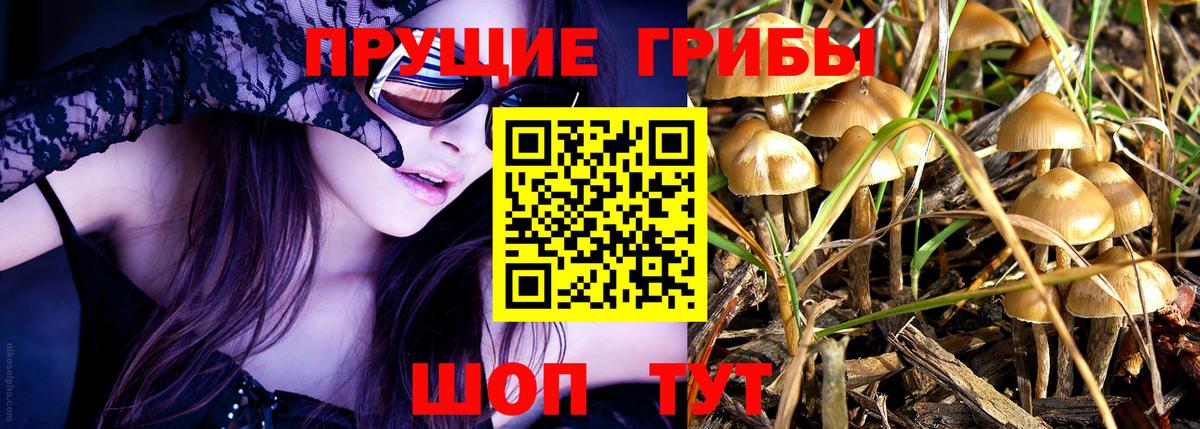 Галлюциногенные грибы Psilocybine cubensis  Вход с VPN  Тобольск 